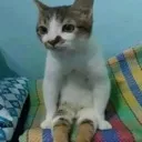 waiting