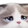 sad