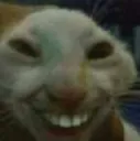 xdd