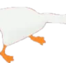 goose1