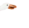goose3