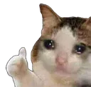 sadcat_thumbsup