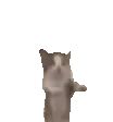 GatoHappy_meme