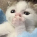 gasp