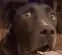 ooo