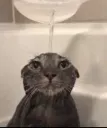 sad
