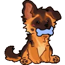 50_AA_shepherd_wag
