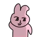 PNKshy