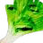 leaked leaked