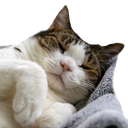 Amara Discord emoji
