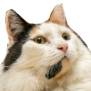 Rose Discord emoji