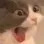catscream