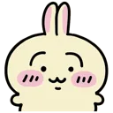 kst_usagisilly2