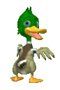 canard_drogu