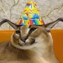 Kuppel_party