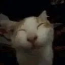 ehehe ehehe