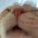 SLURPPPP