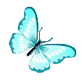 Sonatabutterflylightblue