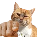 NalaPogYou