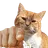 :NalaPogYou: NalaPogYou