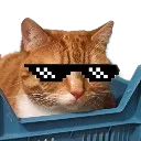 NalaSunglasses