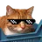 :NalaSunglasses: NalaSunglasses