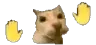 mbdance