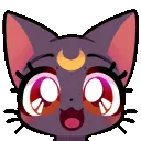 chibisailormooncat
