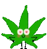 V_weedlove