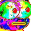 PepeAcid