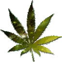 weed