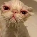 emoji_7