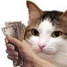 richcat