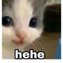 FZ_hehe