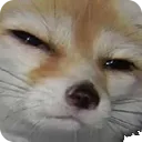 sus