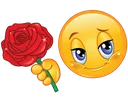 rose