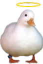 HolyDuck custom emote from /𝗘𝗰𝗹𝗶𝗽𝘀𝗲