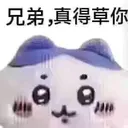 Chiika_HachiJapanese