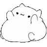 hypecat
