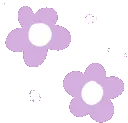flowerpurple
