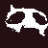 :61841catinsanity2:
