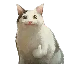fatfuckingcat