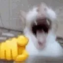 b_HA