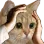 icatbelieve