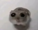 Sad