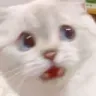 fearig