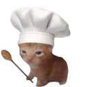 cooking