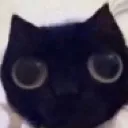 stare