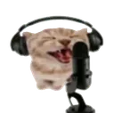 meowmeow