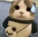 oop